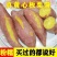 板栗蜜薯