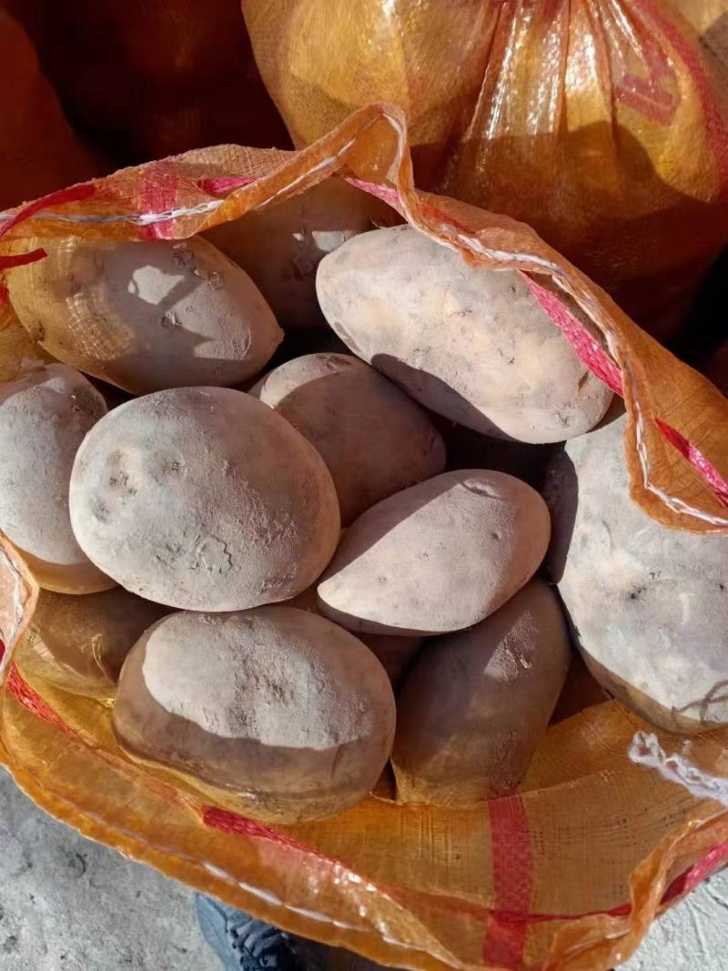 陇七陇十定西土豆甘肃临洮土豆产地直发