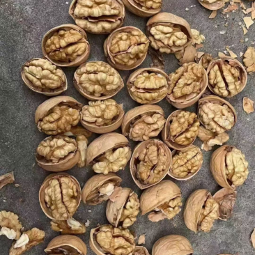 [热卖]云南麻子脆皮核桃，新疆脆皮核桃，薄皮肉多