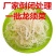 龙须菜批发长寿菜海石花鹿角菜凉拌菜龙须菜素食凉拌菜素菜配