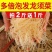 龙须菜批发长寿菜海石花鹿角菜凉拌菜龙须菜素食凉拌菜素菜配