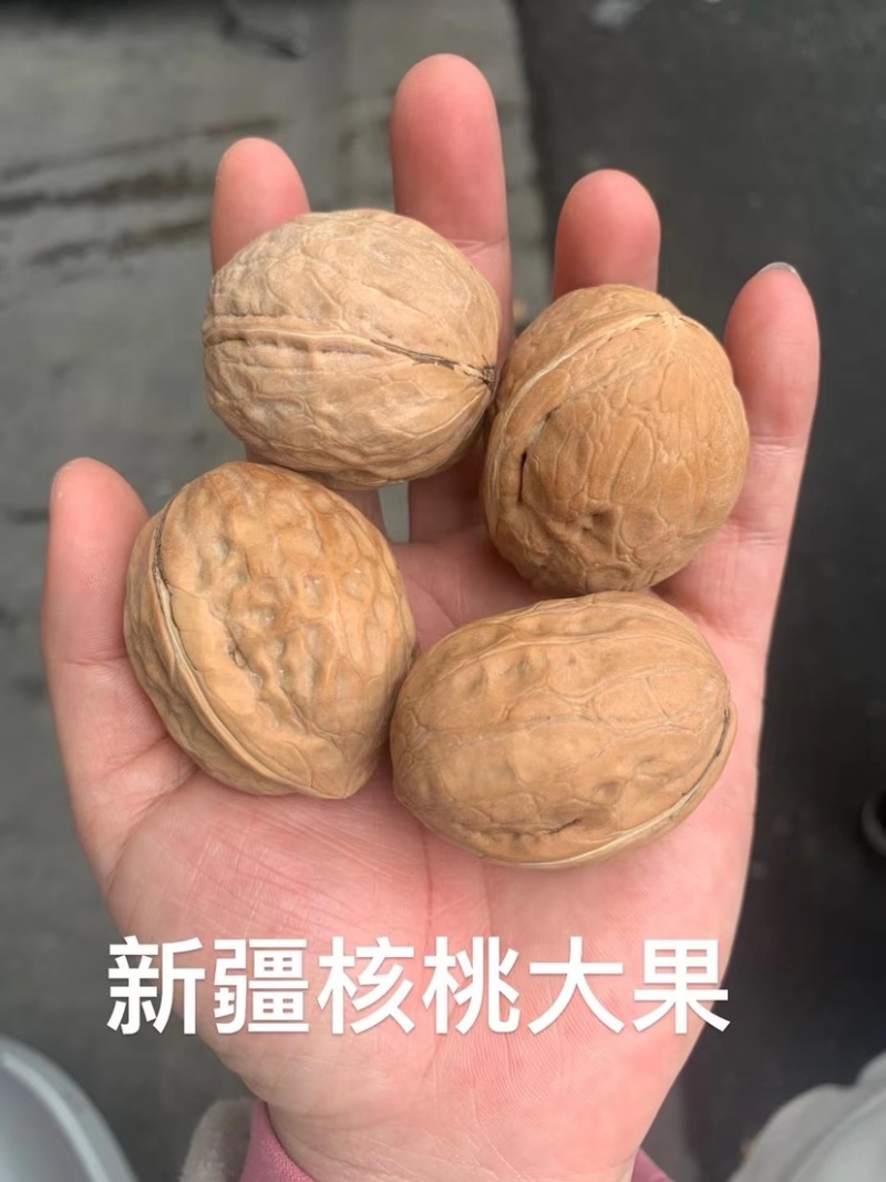 [热卖]云南麻子脆皮核桃，新疆脆皮核桃，薄皮肉多
