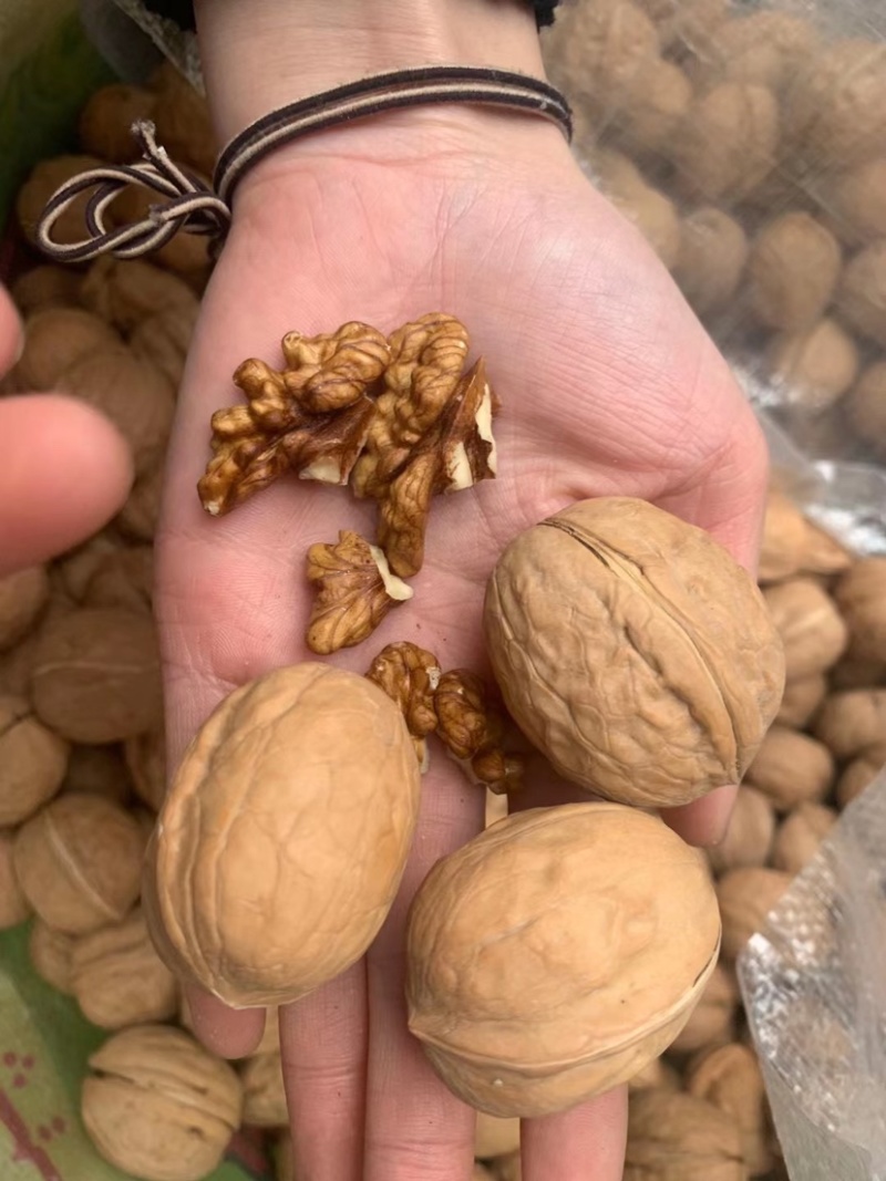 [热卖]云南麻子脆皮核桃，新疆脆皮核桃，薄皮肉多