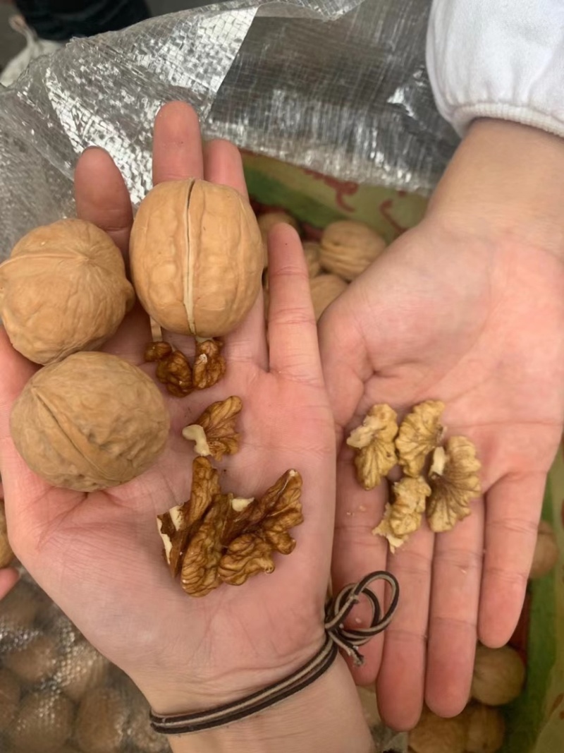 [热卖]云南麻子脆皮核桃，新疆脆皮核桃，薄皮肉多