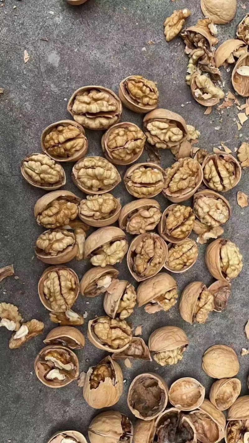 [热卖]云南麻子脆皮核桃，新疆脆皮核桃，薄皮肉多