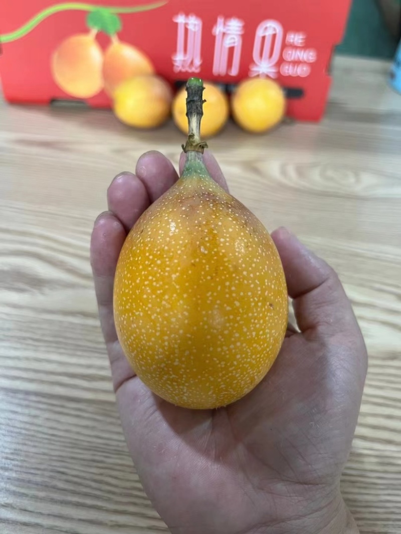 海南热情果/哥伦比亚果上市了，高端稀缺水果