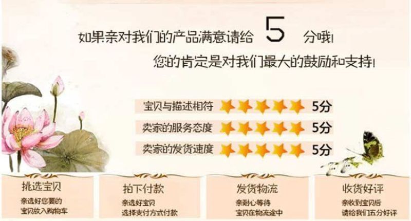 新品种特大嫁接李子树苗蜂糖李子树苗盆载四季可种当年结果