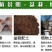 新品种特大嫁接李子树苗蜂糖李子树苗盆载四季可种当年结果