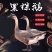 新鲜黑棕鹅