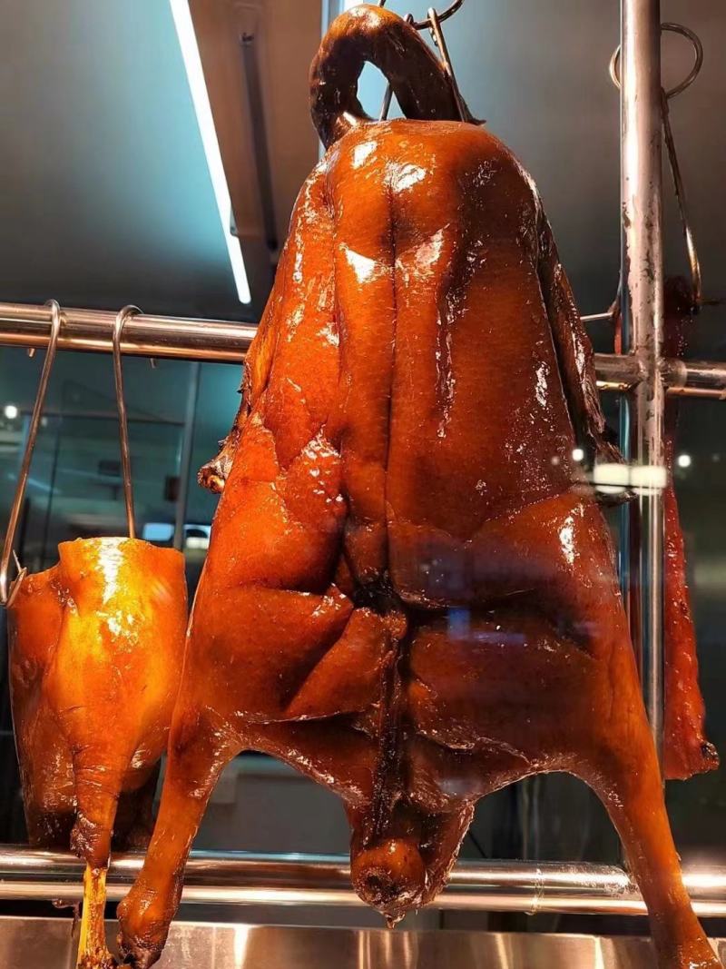 新鲜黑棕鹅