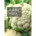 耐寒白花菜种籽白雪100天花菜白菜花椰菜种子高产大田