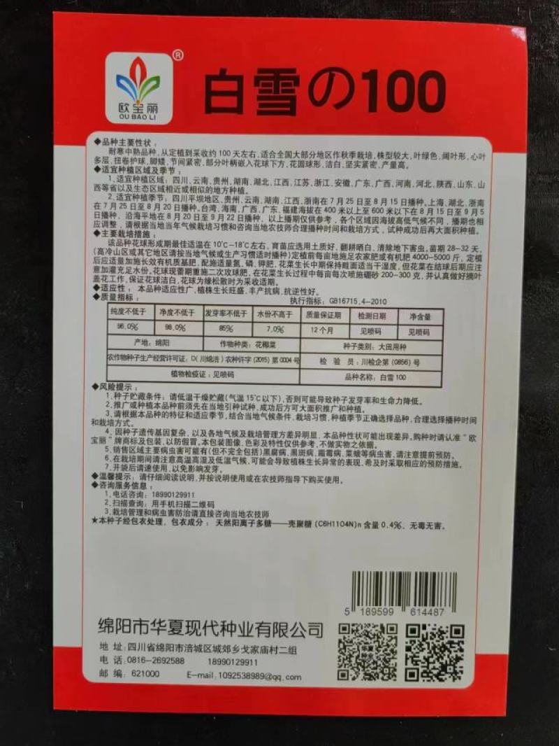 耐寒白花菜种籽白雪100天花菜白菜花椰菜种子高产大田