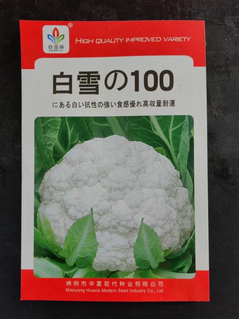 耐寒白花菜种籽白雪100天花菜白菜花椰菜种子高产大田