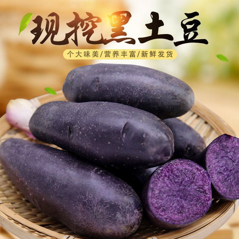 内蒙草原2022年现挖旱地新土豆马铃薯黄皮红皮黑色土豆