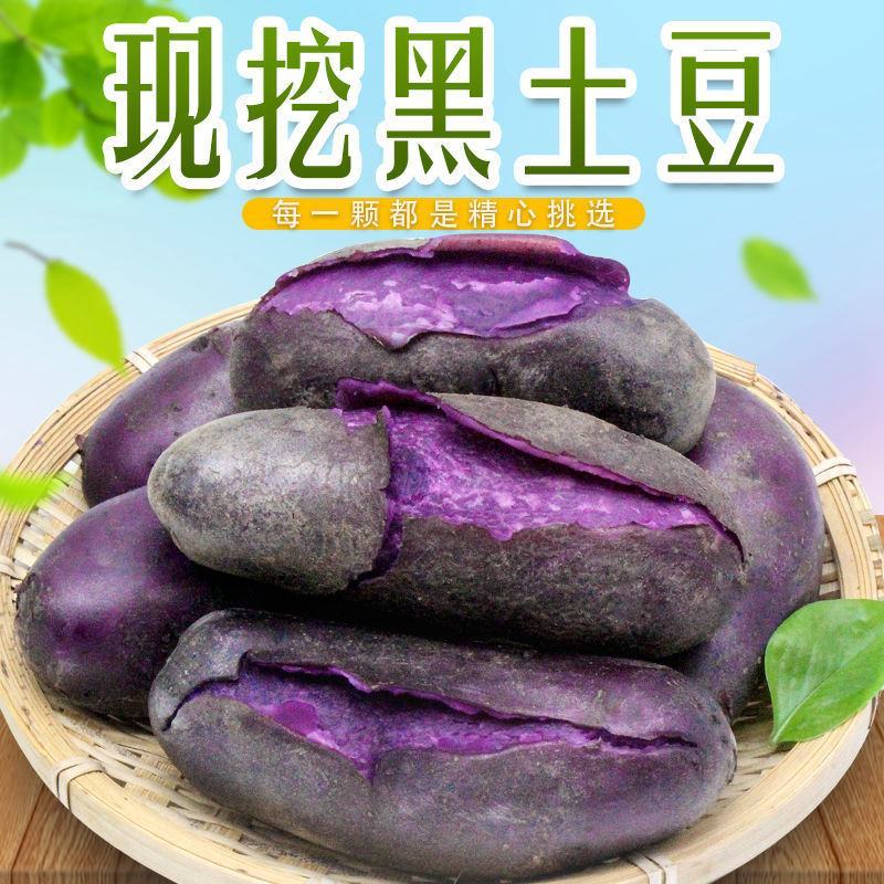 内蒙草原2022年现挖旱地新土豆马铃薯黄皮红皮黑色土豆