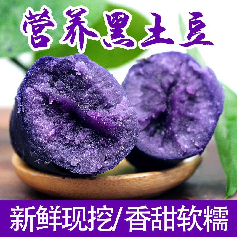 内蒙草原2022年现挖旱地新土豆马铃薯黄皮红皮黑色土豆