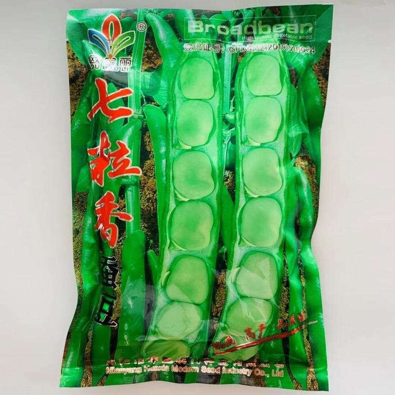 七粒香大蚕豆种子荚长大粒型胡豆种籽抗病高产口感好蚕豆种子