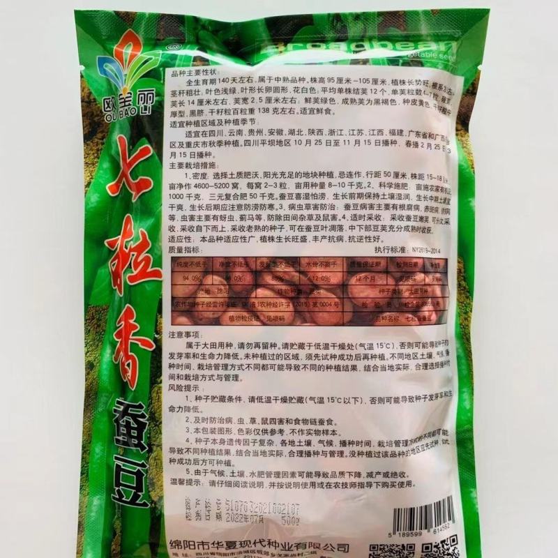 七粒香大蚕豆种子荚长大粒型胡豆种籽抗病高产口感好蚕豆种子