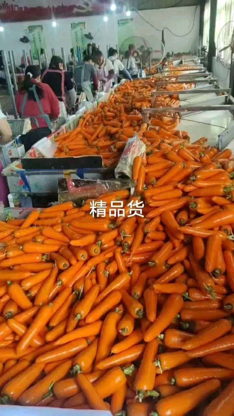 大家好！这是我们家里自己种植的大红一首货源！对接电商超市