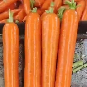 大家好！这是我们家里自己种植的大红一首货源！对接电商超市