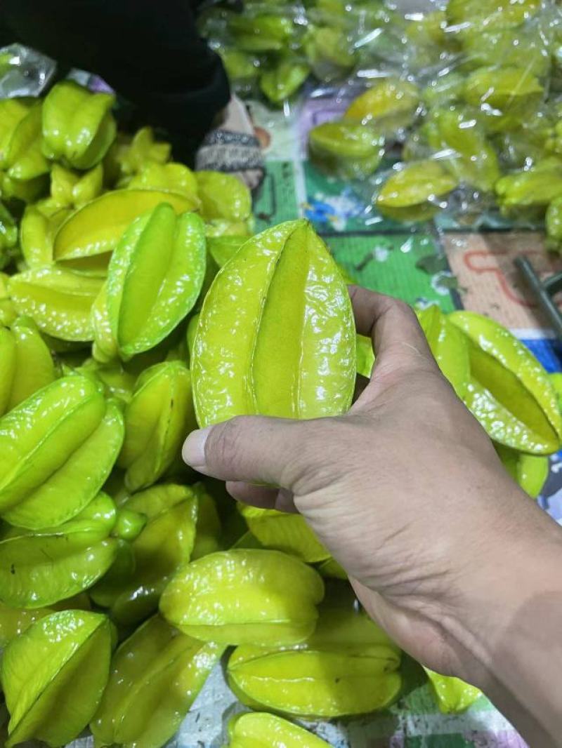 增城杨桃清甜爽口