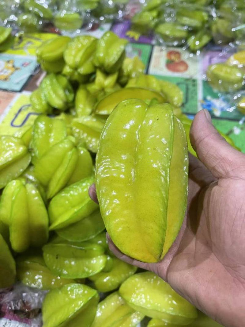 增城杨桃清甜爽口