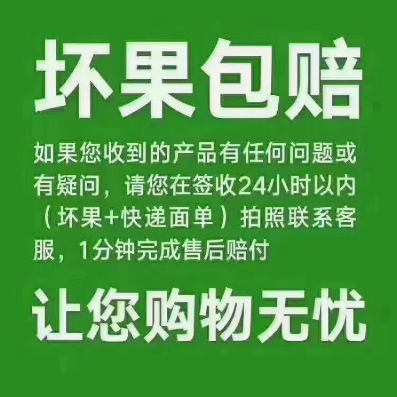 电商优选丹东红颜九九牛奶草莓精品真空包装一件代发