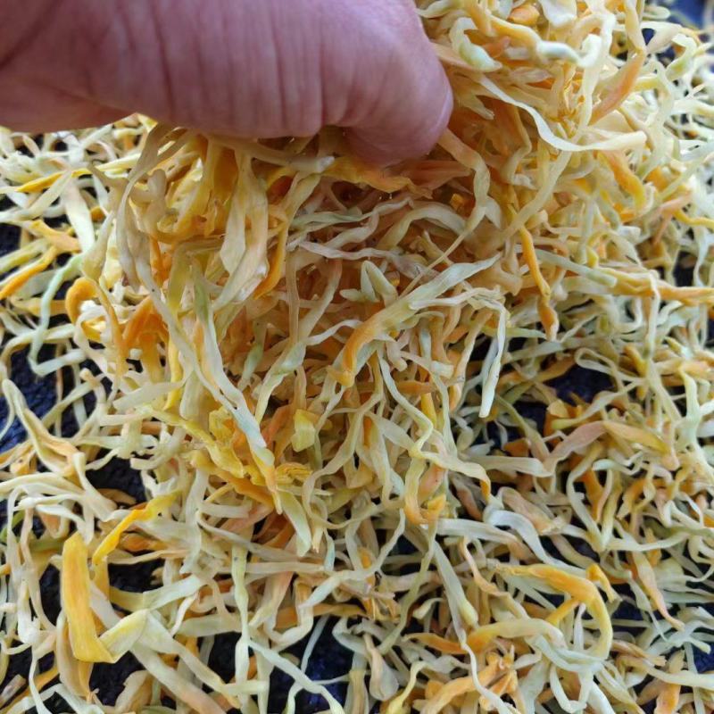 祁东黄花菜保鲜黄花菜凉拌黄花菜原材料产地供货