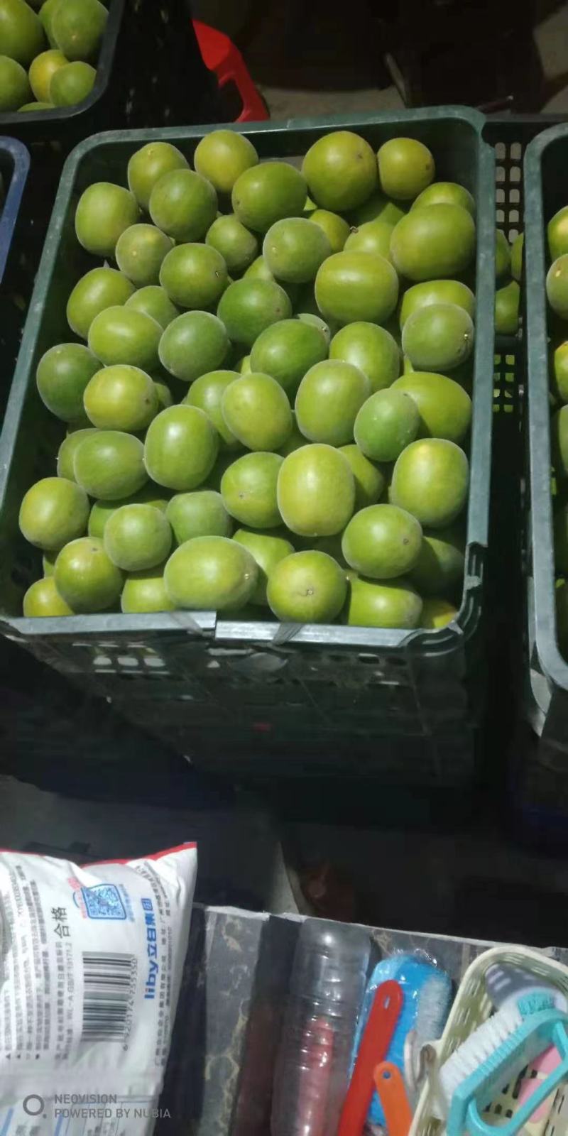 长期有货一手货源各种新鲜罗汉果和罗汉果干货