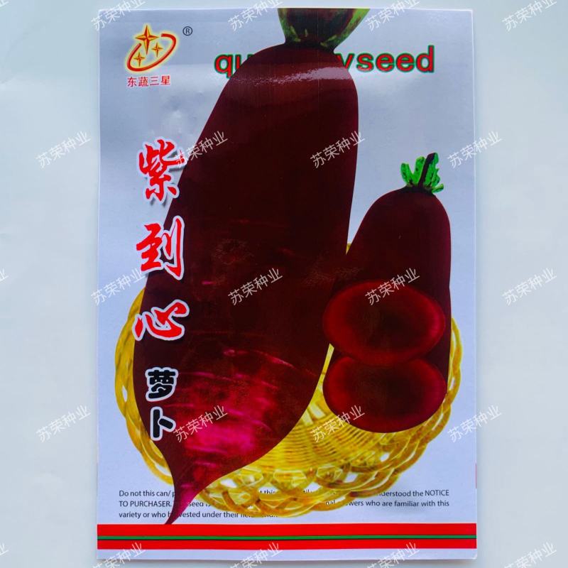 紫到心萝卜种子紫色皮肉心穿心红萝卜种籽紫皮白肉秋季大田