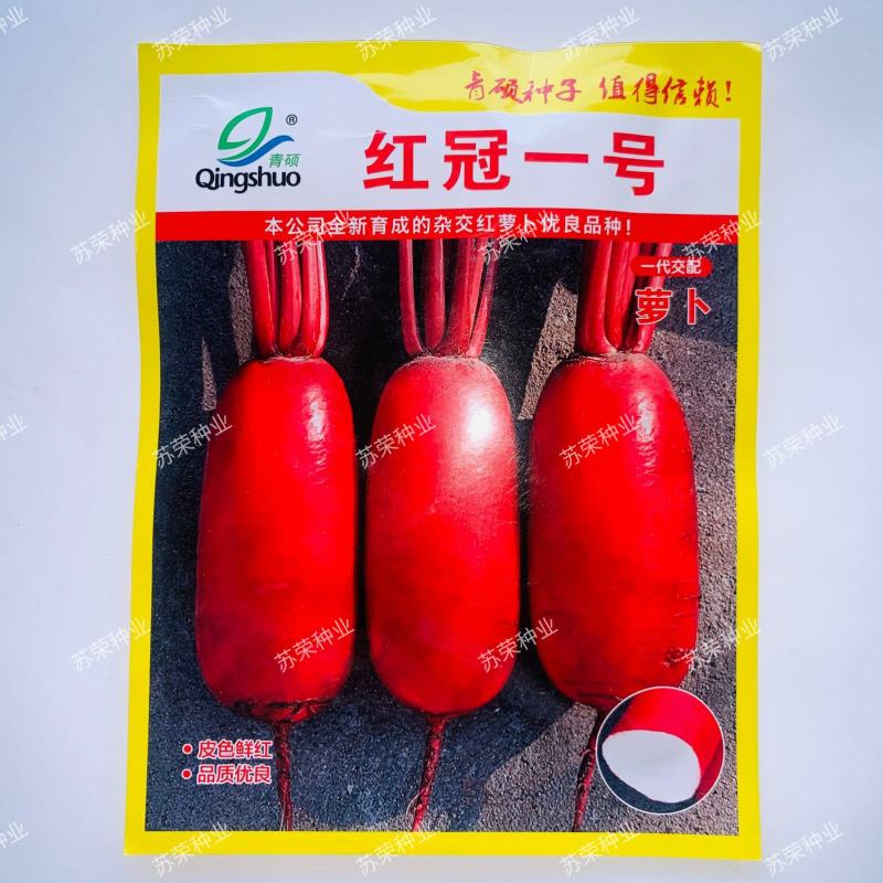 青硕红冠一号红皮萝卜种子口感好优质高产抗病商品性佳农家
