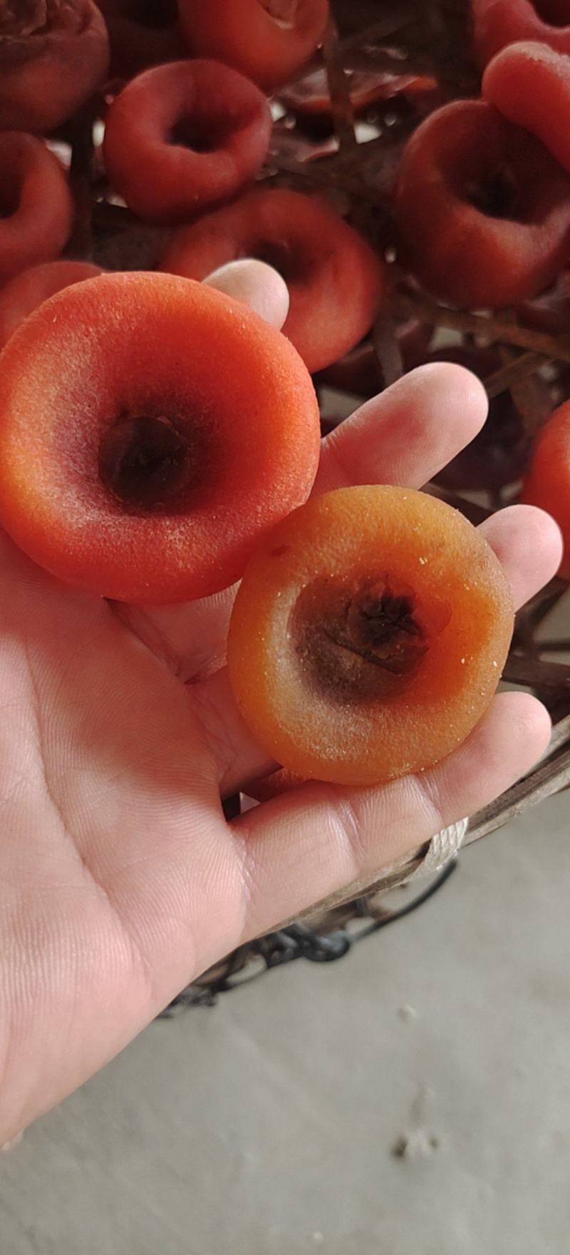 广西桂林平乐二塘柿饼，现在大量上市，一件代发，整车。