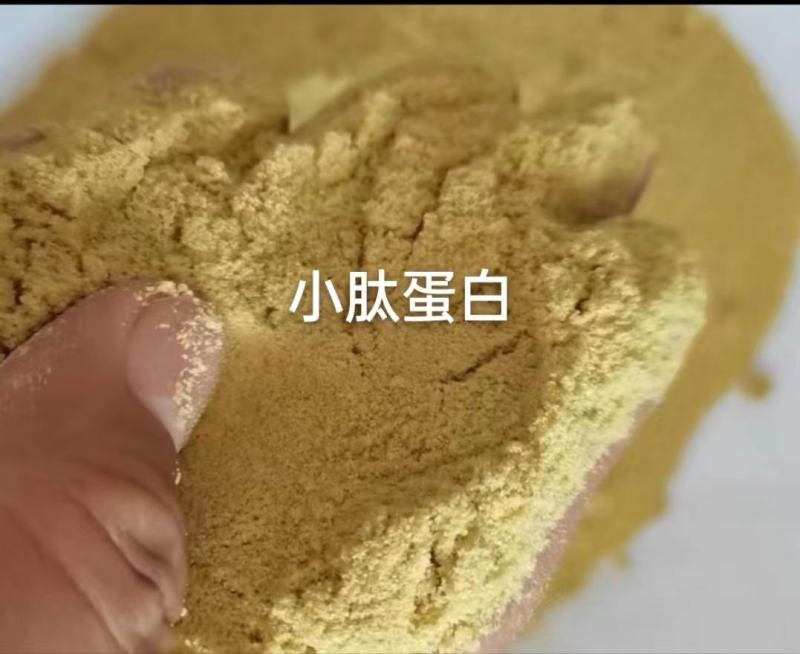 小肽蛋白，蛋白80以上，铵盐4以内。