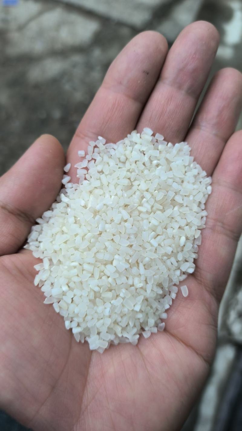 【碎米】湖北本地米厂直供各种抛光碎米，品质出色，价格良心