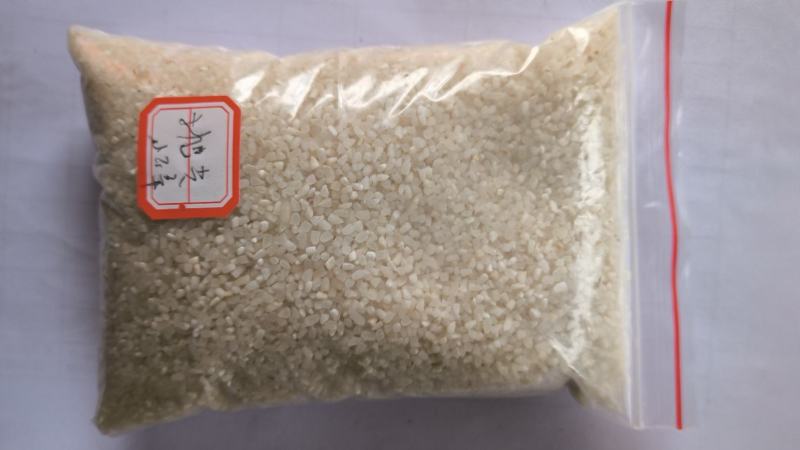 【碎米】湖北本地米厂直供各种抛光碎米，品质出色，价格良心
