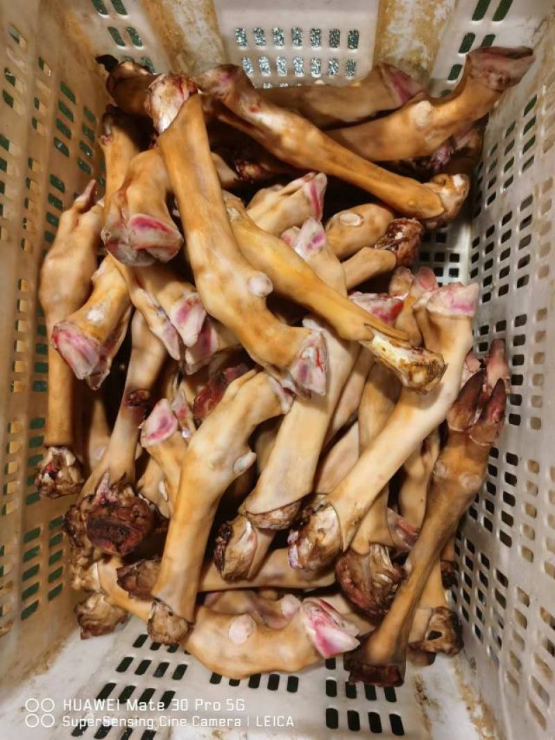 火烧羊蹄