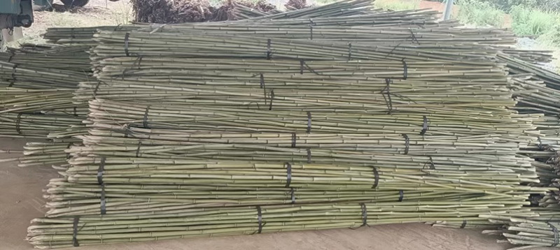 大棚专用竹竿竹架蔬菜大棚一手货源质量保证，全国发货