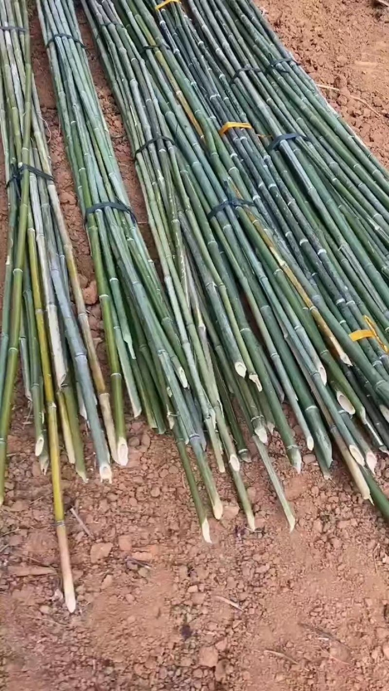 大棚专用竹竿竹架蔬菜大棚一手货源质量保证，全国发货