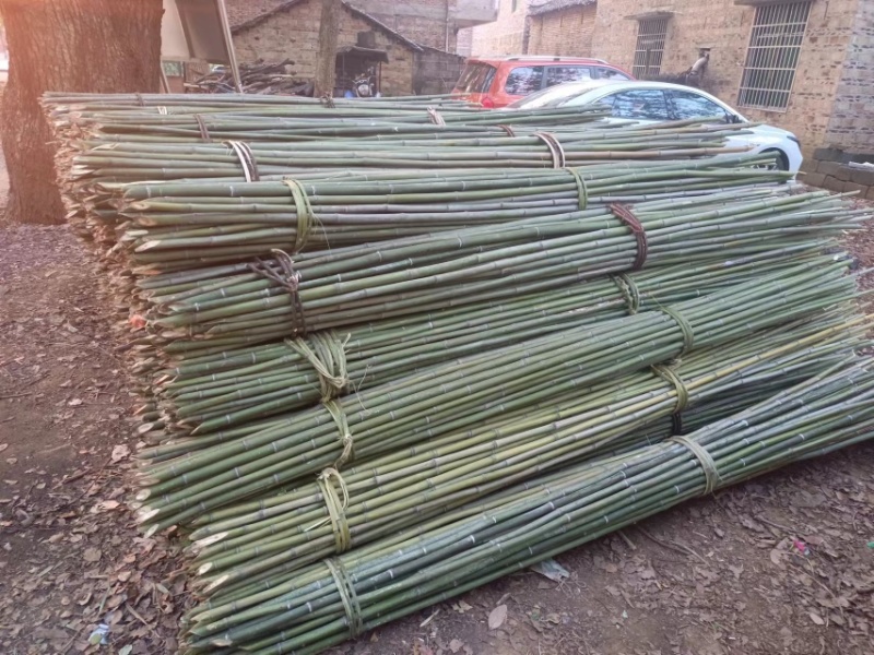大棚专用竹竿竹架蔬菜大棚一手货源质量保证，全国发货