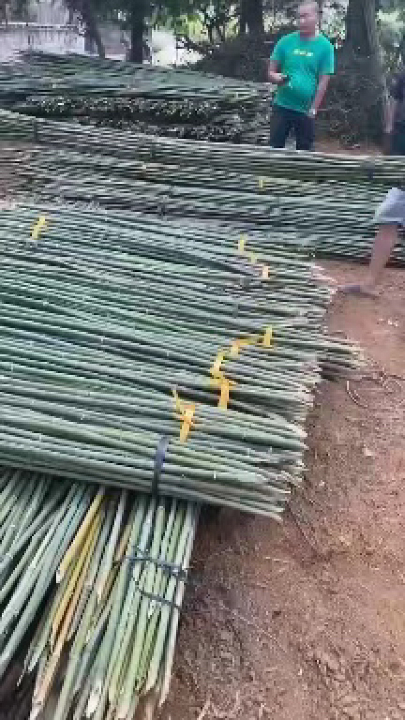 大棚专用竹竿竹架蔬菜大棚一手货源质量保证，全国发货