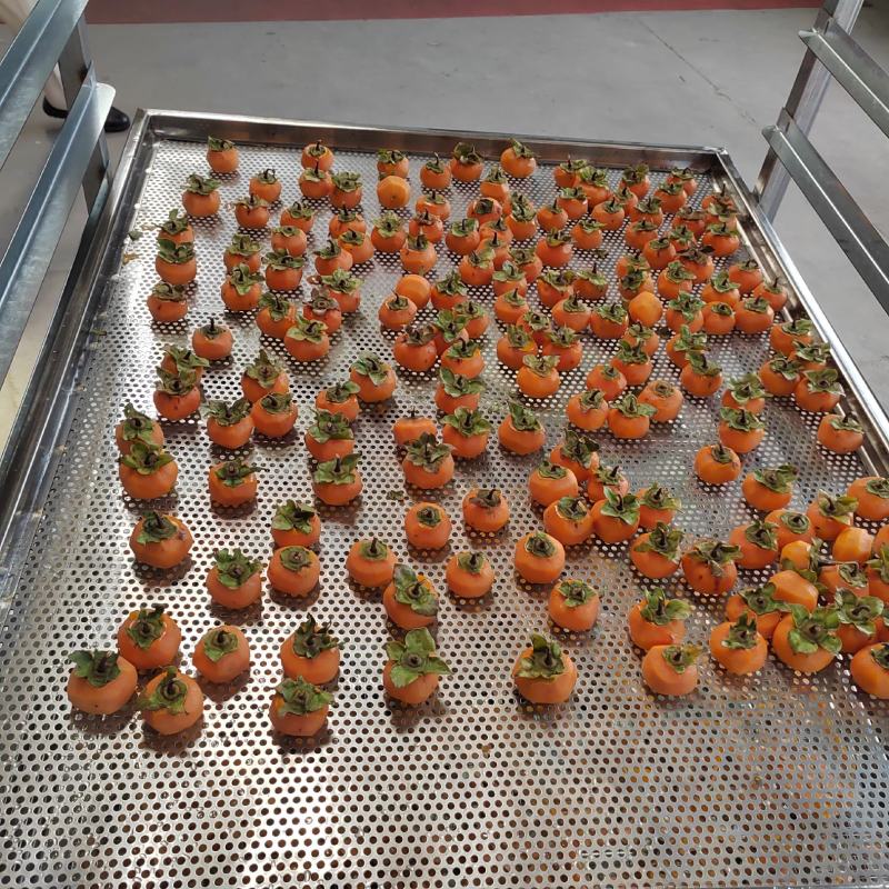 5P60格小型空气能食品药材食用菌辣椒菌类烘干机一体机