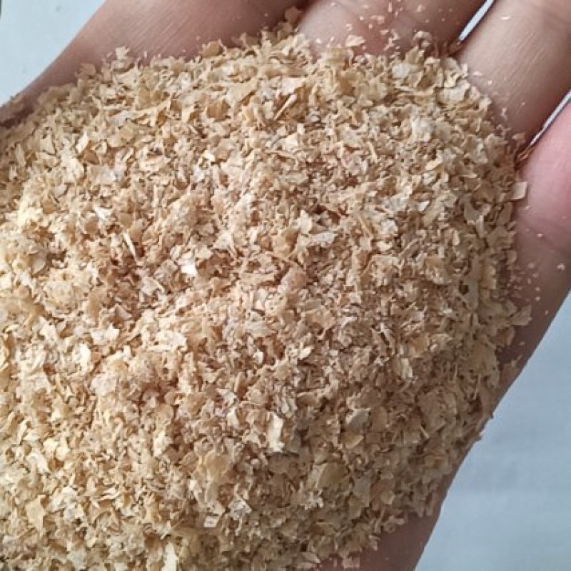 大量出麸皮现货