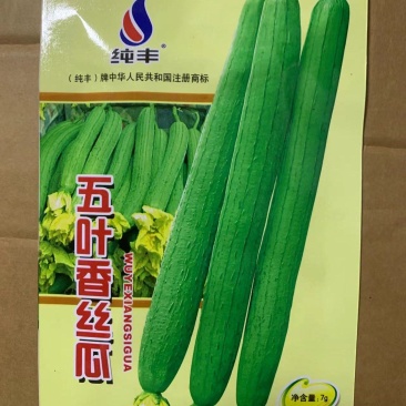长香丝瓜种子高产耐老丝瓜种子四季南方北方丝瓜籽丝瓜种子