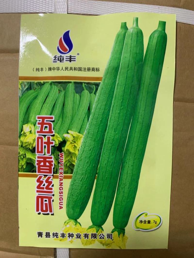 长香丝瓜种子高产耐老丝瓜种子四季南方北方丝瓜籽丝瓜种子