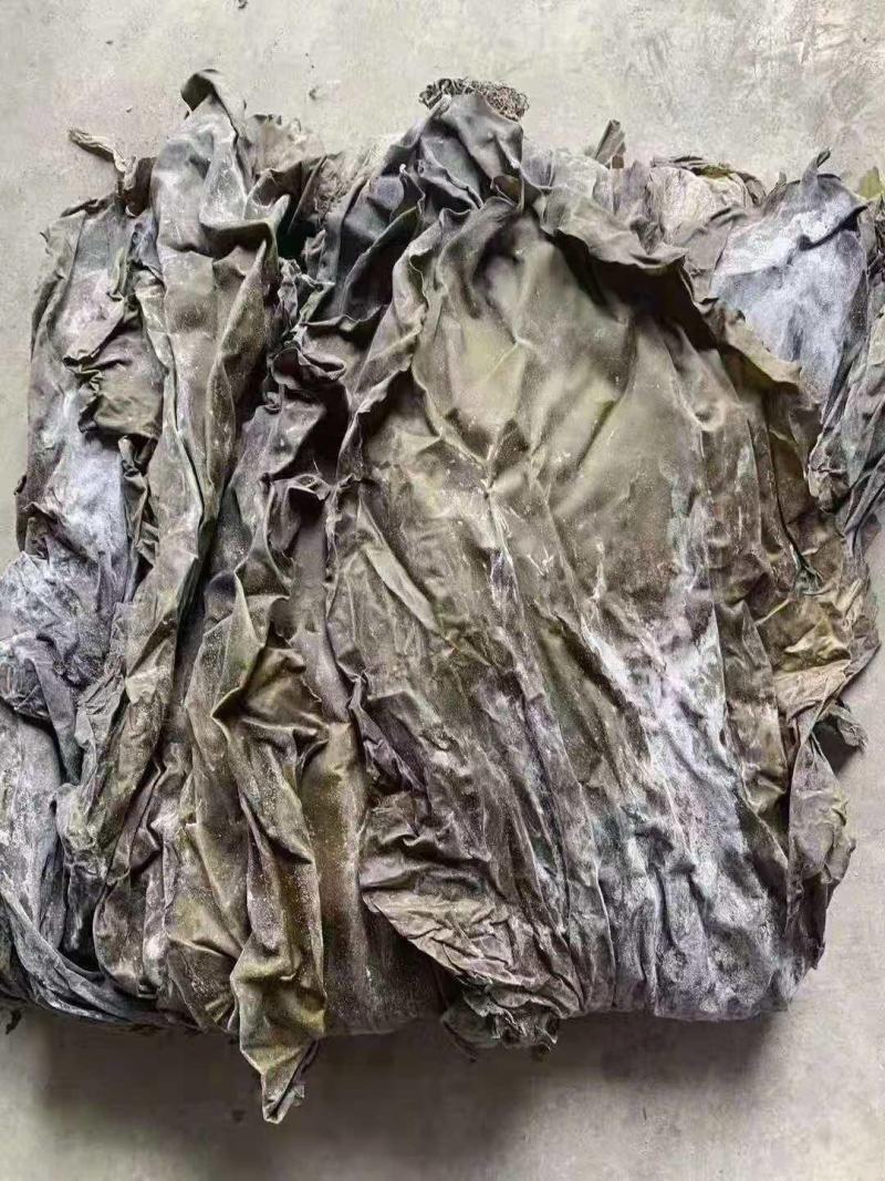 盐渍海带头海带皮海鲜干货厚皮海带大货批发海产品水产品摆地