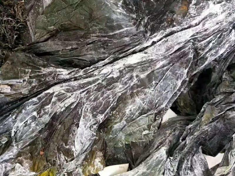 盐渍海带头海带皮海鲜干货厚皮海带大货批发海产品水产品摆地