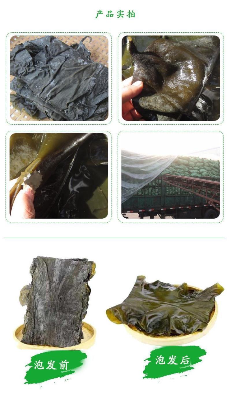盐渍海带头海带皮海鲜干货厚皮海带大货批发海产品水产品摆地
