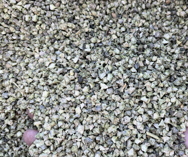 【文斌药业】白蒺藜颜色绿新货干净无杂质地道药材