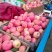 塑料筐外：525*360*280内：495*330*27
