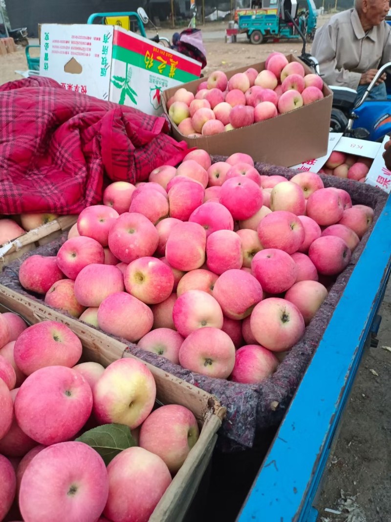 塑料筐外：525*360*280内：495*330*27